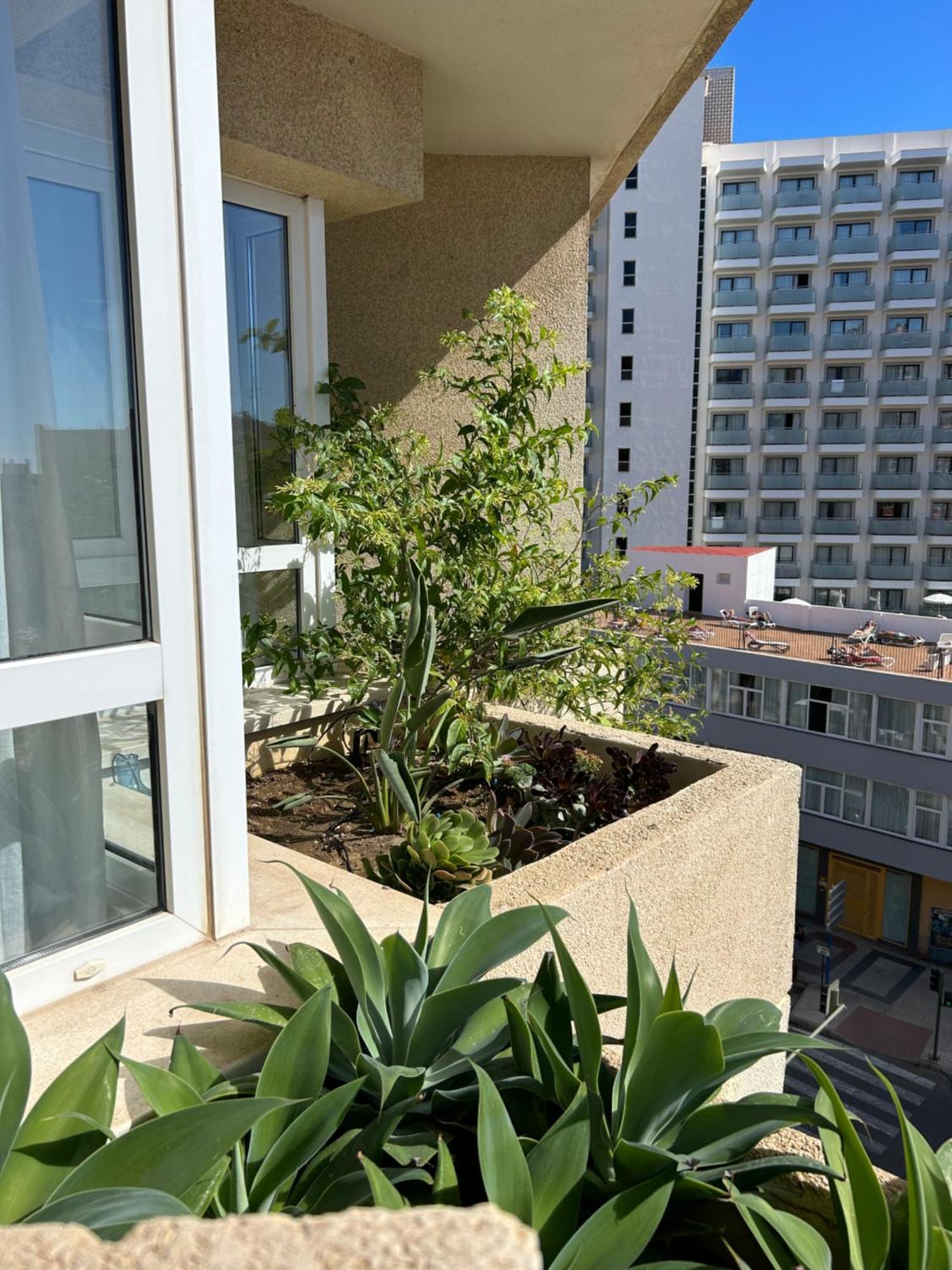 Oasis With Terrace And Sea Views With Rooftop Pool Torremolinos
