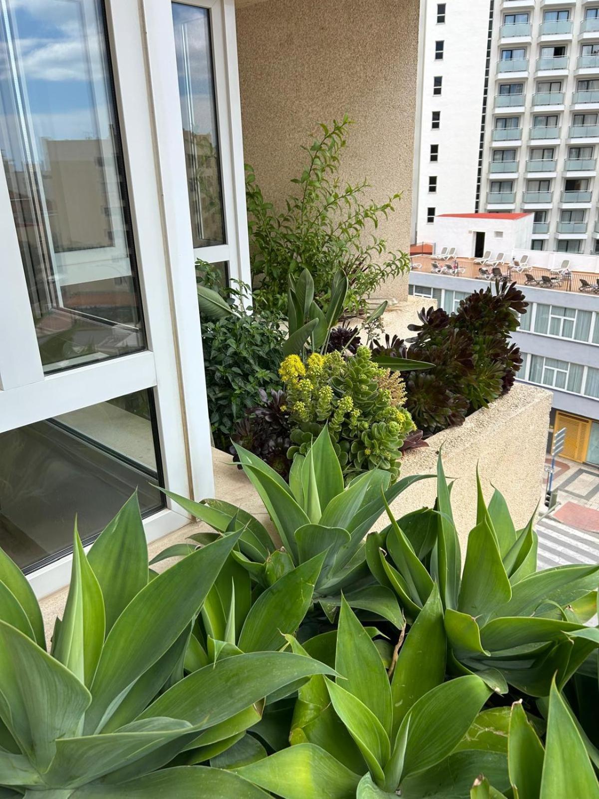 Oasis With Terrace And Sea Views With Rooftop Pool